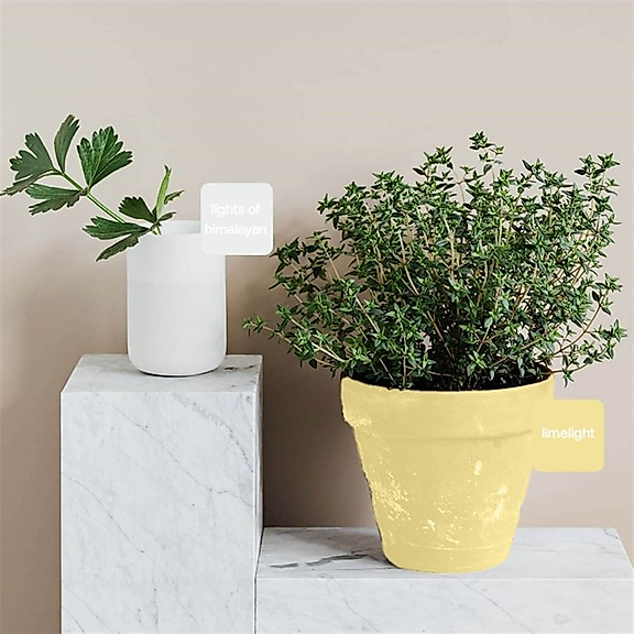 Lights of Himalayan Multisurface 500 ml