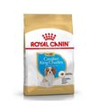 Royal Canın Cavalier King Yavru Köpek Maması 1,5 Kg