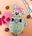 10 Parça Hastane Çıkış Seti Pembe Renk Baby Tavşan Kalp Desenli