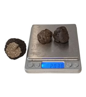 Taze Siyah Trüf Mantarı 20g