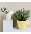 Lights of Himalayan Multisurface 250 ml