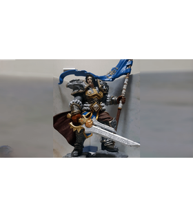 Varian Wrynn 3D Printing Figurine