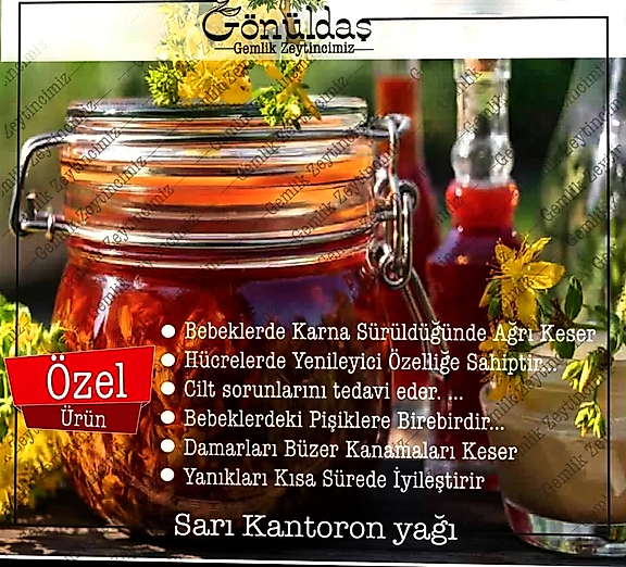 Sarı Kantaron Yağı (100 ml)