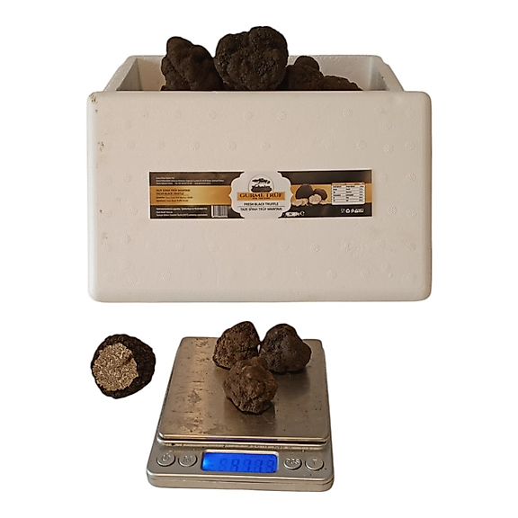 Taze Siyah Trüf Mantarı 100 g (Tuber aestivum) – 2. Boy