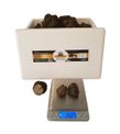 Taze Siyah Trüf Mantarı 20 g – 2. Boy (10–15 g)