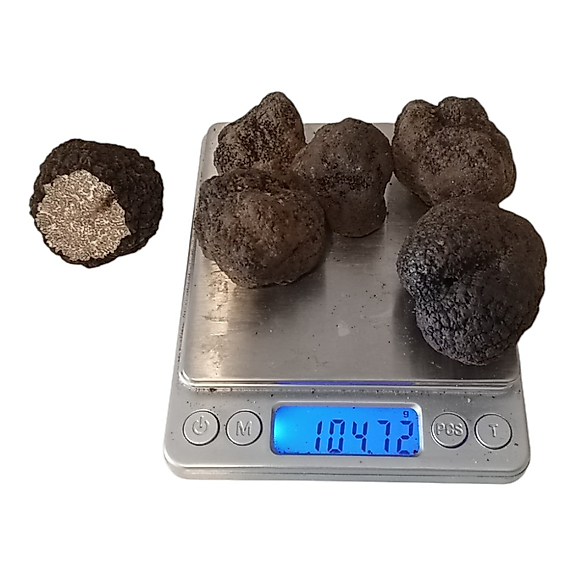 Taze Siyah Trüf Mantarı 100g