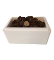 Taze Siyah Trüf Mantarı 20g