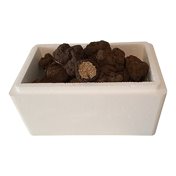 Taze Siyah Trüf Mantarı 100 g (Tuber aestivum) – 2. Boy