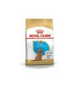 Royal Canın Poodle Junior Köpek Maması 3 Kg