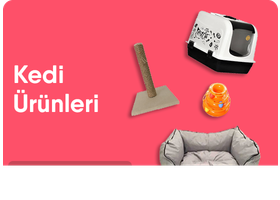 Kedi
