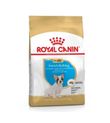 Royal Canın Dog French Bulldog Junior Köpek Maması 3 Kg