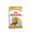 Royal Canın Cocker Spaniel Adult Köpek Maması 3 Kg