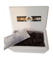 Taze Siyah Trüf Mantarı 20 g – 2. Boy (10–15 g)