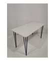 60×120 Metal Ayaklı Masa Mutfak Masası Çalışma Masası Bilgisayar Masası