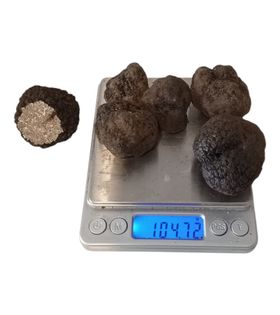 Taze Siyah Trüf Mantarı 100g