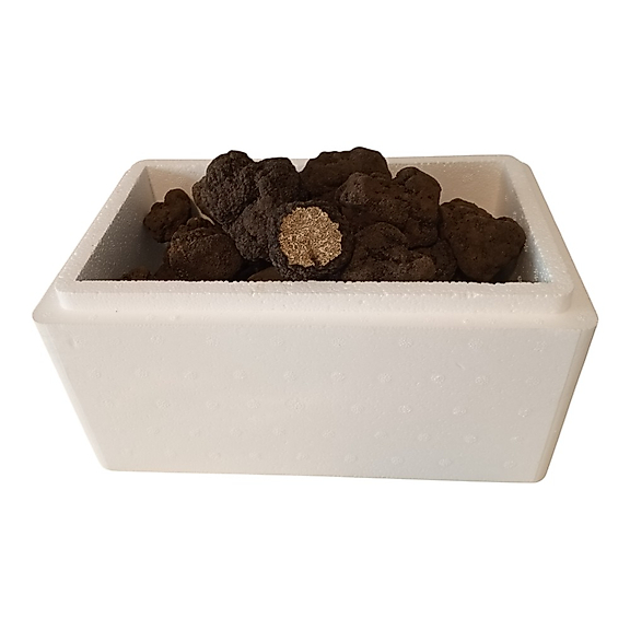 Taze Siyah Trüf Mantarı 20g