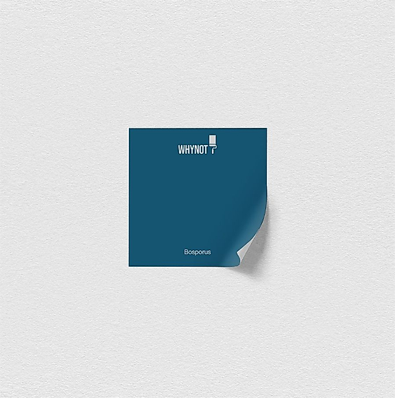 Bosphorus Multisurface 250 ml