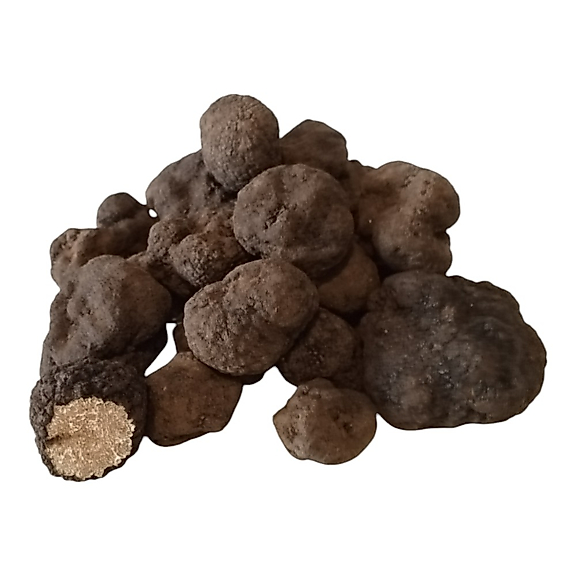 Taze Siyah Trüf Mantarı 40g