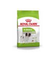 Royal Canın X-Small Küçük Irk Yetişkin Köpek Maması 1,5 kg