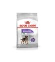 Royal Canın Mini Sterilised Kısırlaştırılmış Yetişkin Köpek Maması 3 kg