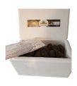 Taze Siyah Trüf Mantarı 100g