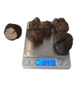 Taze Siyah Trüf Mantarı 100g