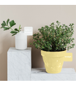 Limelight Multisurface 500 ml
