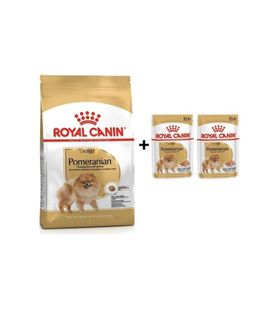 Royal Canın Pomeranian Yetişkin Köpek Maması 1,5 Kg + 2 Adet Yaş Mama Hediye