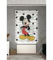 Minibabyrooms Mickey Mause