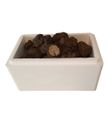 Taze Siyah Trüf Mantarı 40g