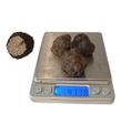 Taze Siyah Trüf Mantarı 40g (Tuber aestivum) – 2. Boy