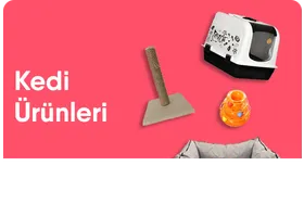 Kedi