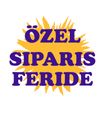 OSMAN MERT ÖZEL SİPARİŞ ( FERİDE HANIM )