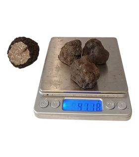 Taze Siyah Trüf Mantarı 40g