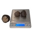Taze Siyah Trüf Mantarı 20 g – 2. Boy (10–15 g)